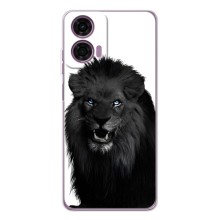 Чехлы с картинками животных Motorola Moto G05