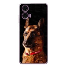 Чохли з картинкою животних Motorola Moto G05 (Овчарка)