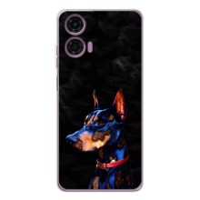 Чохли з картинкою животних Motorola Moto G05 (Собака)