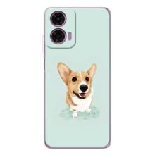 Чохли з собаками для Motorola Moto G05 (VPrint) (Коргі)