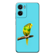 Силиконовый чехол с птичкой на Motorola Moto G05 – Попугайчик