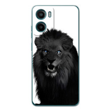 Чехлы с картинками животных Motorola Moto G06 Power (Черный ЛЕВ)