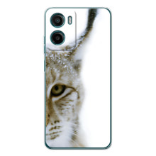 Чехлы с картинками животных Motorola Moto G06 Power (Рысь)