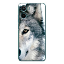 Чехлы с картинками животных Motorola Moto G06 Power (Волк)