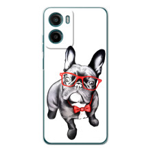 Бампер для Motorola Moto G06 Power з картинкою "Песики" (В окулярах)