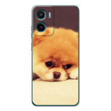Чохол (ТПУ) Милі песики для Motorola Moto G06 Power (Померанский шпіц)