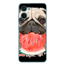 Чохол (ТПУ) Милі песики для Motorola Moto G06 Power (Смішний Мопс)