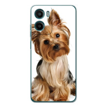 Чохол (ТПУ) Милі песики для Motorola Moto G06 Power (Пес Терьєр)