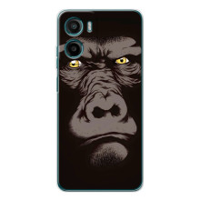 Чехлы с Горилой на Моротола Мо́то Г06