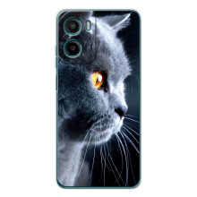 Чехол с милыми котиками на Мо Motorola Мо G06