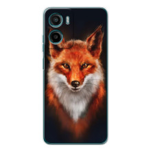 Чехол с принтом лисички на Мо Motorola Мо G06 – Лиса на черном