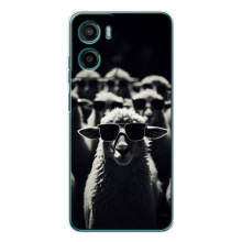 Чехол с принтом стильные животные для Мо foretoldого Мото Г06 (Овечка в очках)