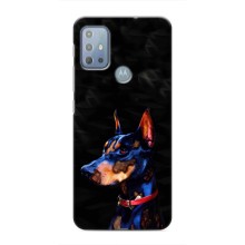 Чехлы с картинками животных Motorola MOTO G10 (Собака)