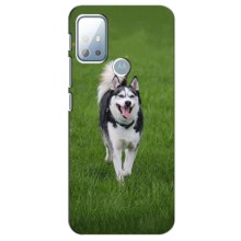 Чехол с Хаски для Motorola G10 - (AlphaPrint) (Радостный Хаски)