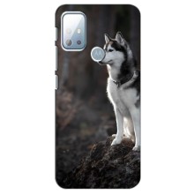 Чехол с Хаски для Motorola G10 - (AlphaPrint) (Верный пес)