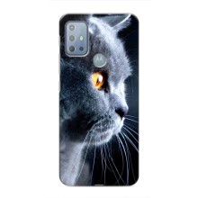 Чехлы с Котиками для Motorola MOTO G10 (VPrint) (Серый Кот)