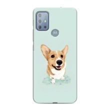 Чехлы с собаками для Motorola MOTO G10 (VPrint) (Корги)