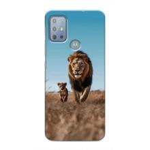 Чехол Король лев на Мото G10 – Мусафа и Симба