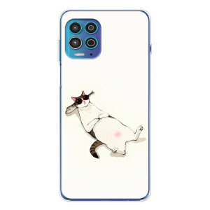 Чехол на тематику: Коты для Motorola MOTO G100 Pro – Отдых
