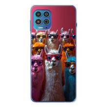 Чехол с принтом стильные животные для Мото Джи100 Про (Ламы в очках)