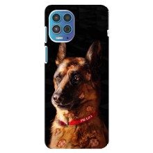 Чохли з картинкою животних Motorola MOTO G100 (Овчарка)