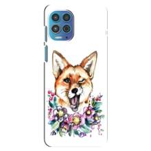 Чохли з картинкою Лисичка для Motorola MOTO G100 (VPrint) (Весела лисичка)