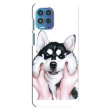 Чохли з собаками для Motorola MOTO G100 (VPrint) (Радісний Хаскі)