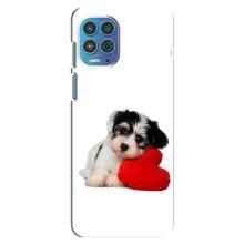 Чохли з собаками для Motorola MOTO G100 (VPrint) (Песик)