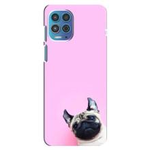 Чохли з собаками для Motorola MOTO G100 (VPrint) (Смішна собака)