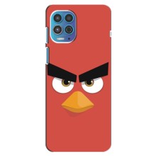 Чехол КИБЕРСПОРТ для Motorola Moto G100 – Angry Birds