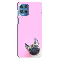Бампер для Motorola Moto G100 с картинкой "Песики" (Собака на розовом)