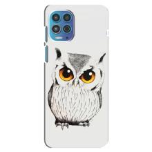Чохол з пташками на Motorola MOTO G100 (VPrint) (Мила Сова)
