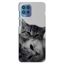Чохол з малюнком кіт на Motorola MOTO G100 (Пара котів)