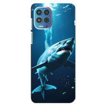 Чехол с картинкой «Хищники» для Motorola MOTO G100 – Акула