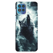 Чехол с картинкой «Хищники» для Motorola MOTO G100