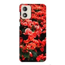 Чехлы с Цветами для Motorola MOTO G13 (VPrint) (Цветы красные)
