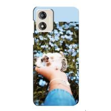 Чехлы с изображением разных животных для Motorola MOTO G13 (Ежик на руках)