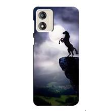 Чехлы с изображением разных животных для Motorola MOTO G13 (Лошадь)