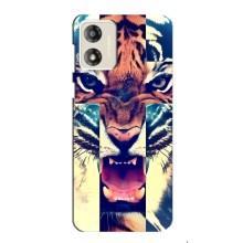 Чехлы с изображением разных животных для Motorola MOTO G13 (Яркий Тигр)