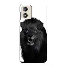 Чехлы с картинками животных Motorola MOTO G13 (Черный ЛЕВ)