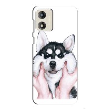 Чехол с Хаски для Motorola MOTO G13 - (AlphaPrint) (Хаски улыбака)