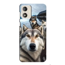 Чехол с Хаски для Motorola MOTO G13 - (AlphaPrint) (Селфи ХАски)