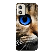 Чехлы с Котиками для Motorola MOTO G13 (VPrint) (Глаз кота)