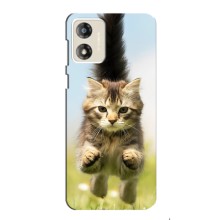 Чехлы с Котиками для Motorola MOTO G13 (VPrint) (Прыжок кота)
