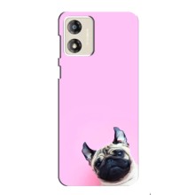 Чехлы с собаками для Motorola MOTO G13 (VPrint) (Смешная собака)