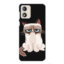 Чехол с принтом для Motorola MOTO G13 (AlphaPrint) Модные коты (Грустный кот)