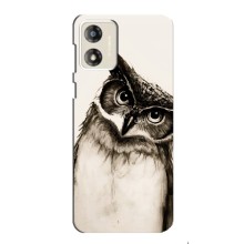 Чехол с птицами на Motorola MOTO G13 (VPrint) (Сова)