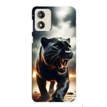 Чехол с картинкой «Хищники» для Motorola MOTO G13 – Пантера