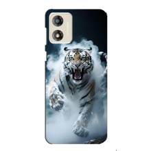 Чехол с картинкой «Хищники» для Motorola MOTO G13 – Тигр