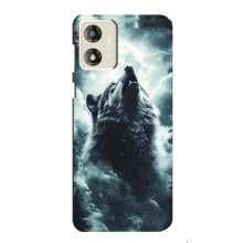 Чехол с картинкой «Хищники» для Motorola MOTO G13